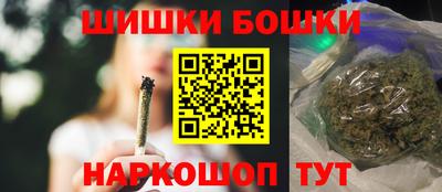 спайс Кингисепп