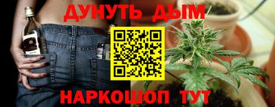 сатива Кинель