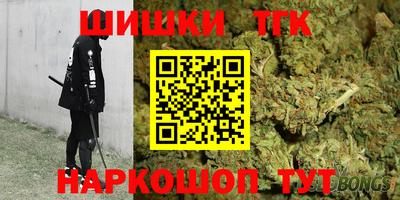 спайс Кингисепп