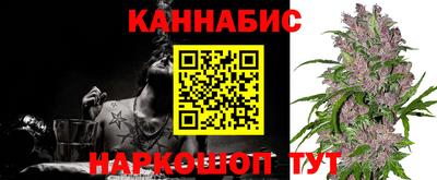 сатива Кинель