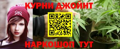 спайс Кингисепп