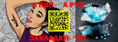 спайс Кингисепп
