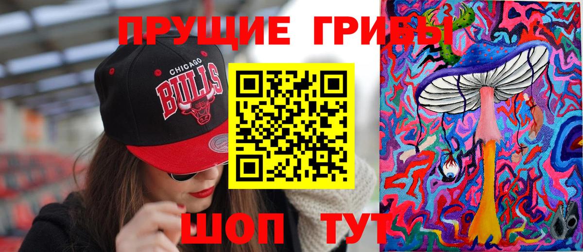 Псилоцибиновые грибы Magic Shrooms  Вход с VPN  Чернушка  Псилоцибиновые грибы Magic Shrooms 