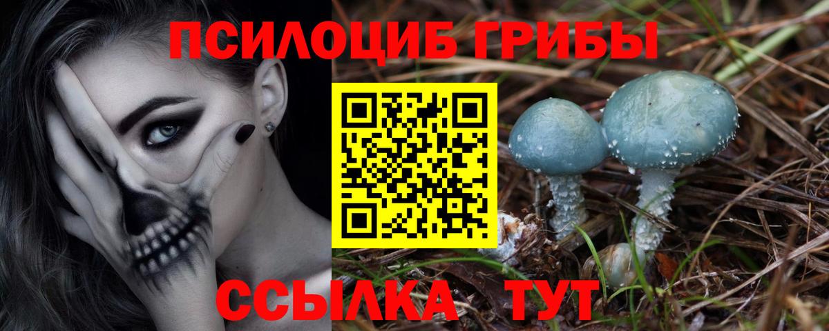 Галлюциногенные грибы MAGIC MUSHROOMS Чернушка